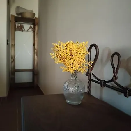La Casa De La Abuela Amalia * Arenas de San Pedro