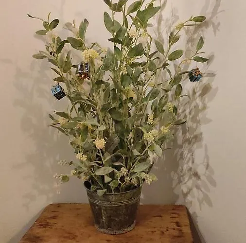 La Casa De La Abuela Amalia Arenas de San Pedro